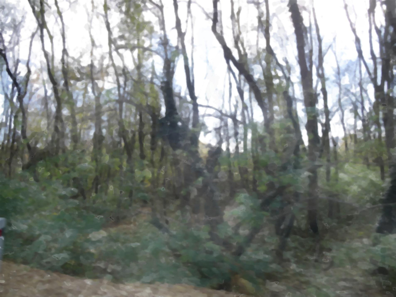 Файл:Page 186.png