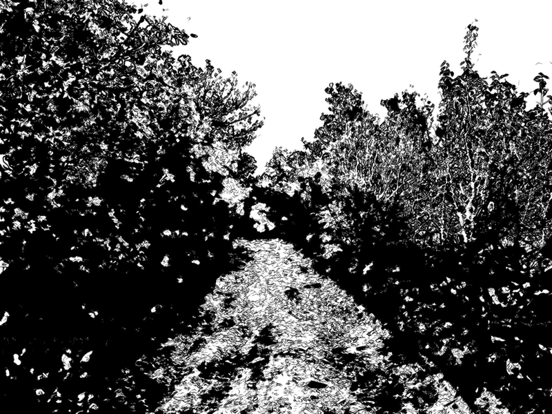 Файл:Page 079.png