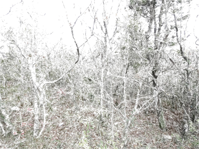 Файл:Page 093.png