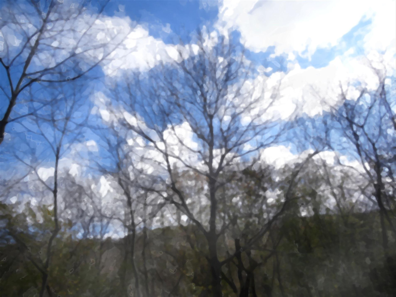 Файл:Page 195.png