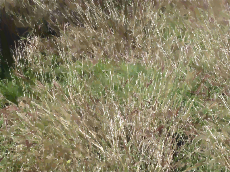 Файл:Page 330.png