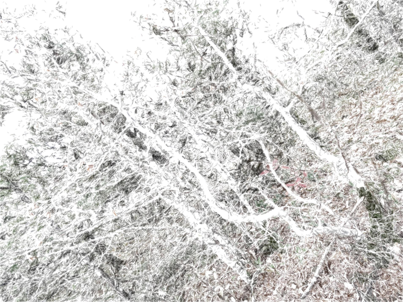 Файл:Page 086.png