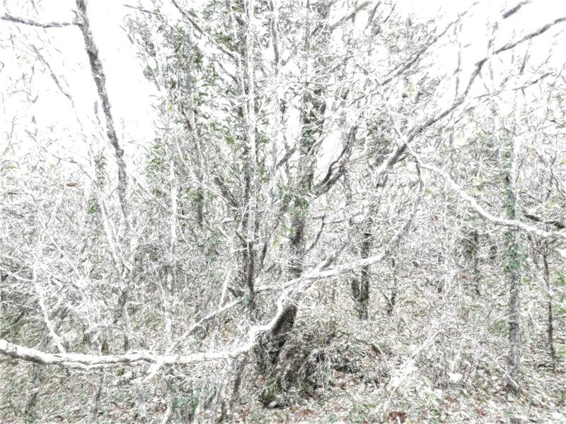 Файл:Page 087.png