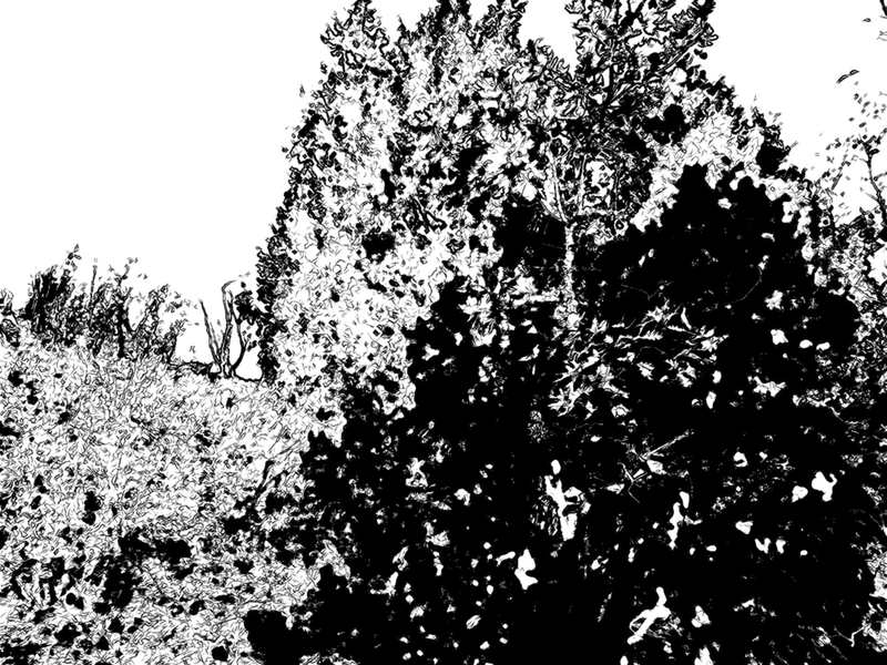 Файл:Page 082.png