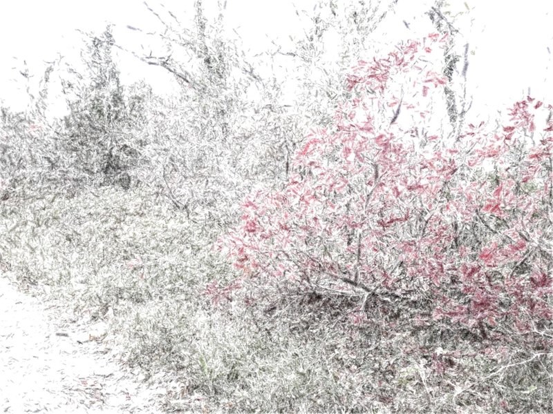 Файл:Page 091.png