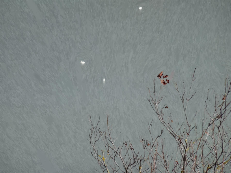 Файл:Page 106.png