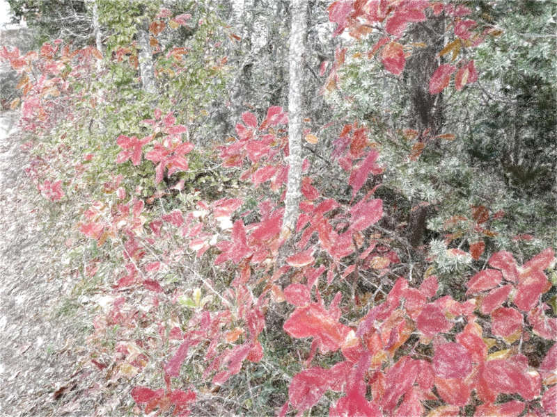 Файл:Page 092.png