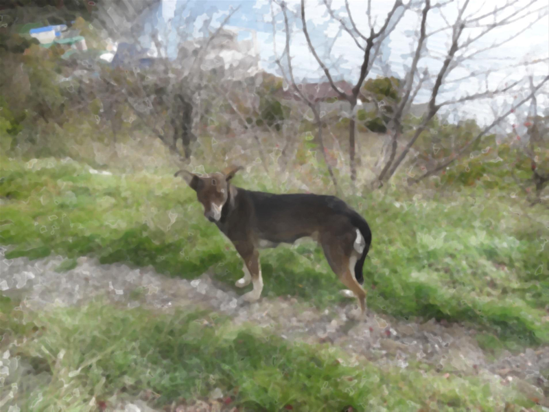 Файл:Page 243.png