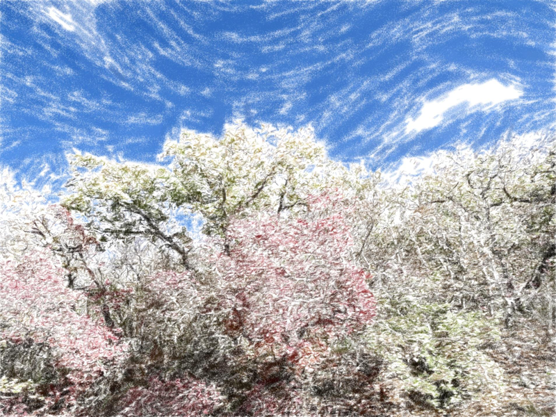 Файл:Page 177.png