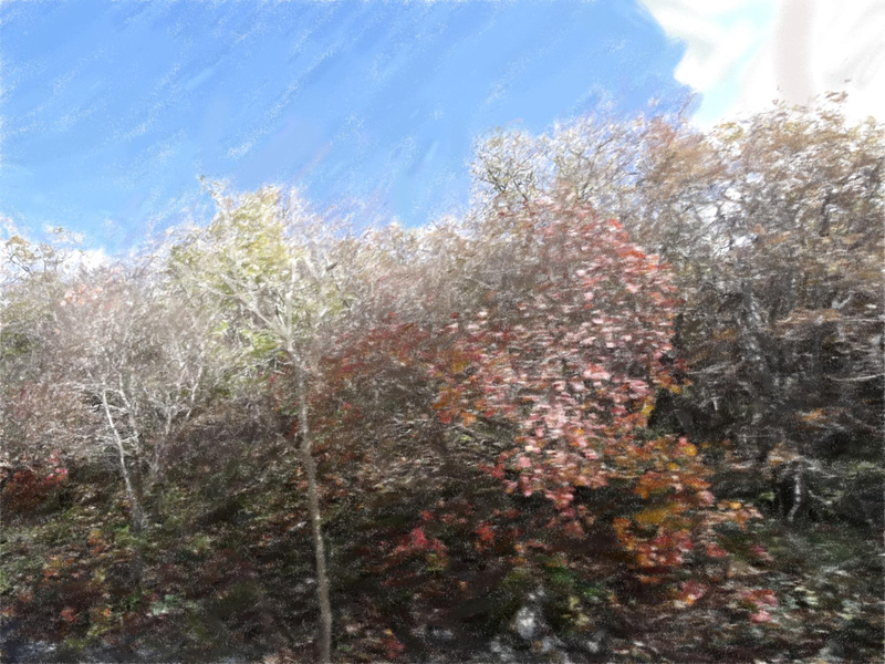 Файл:Page 163.png