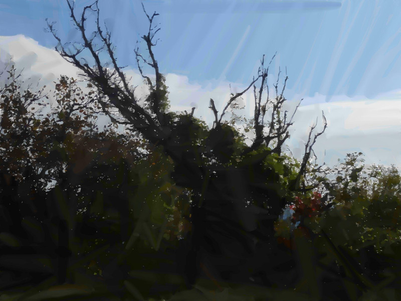 Файл:Page 300.png