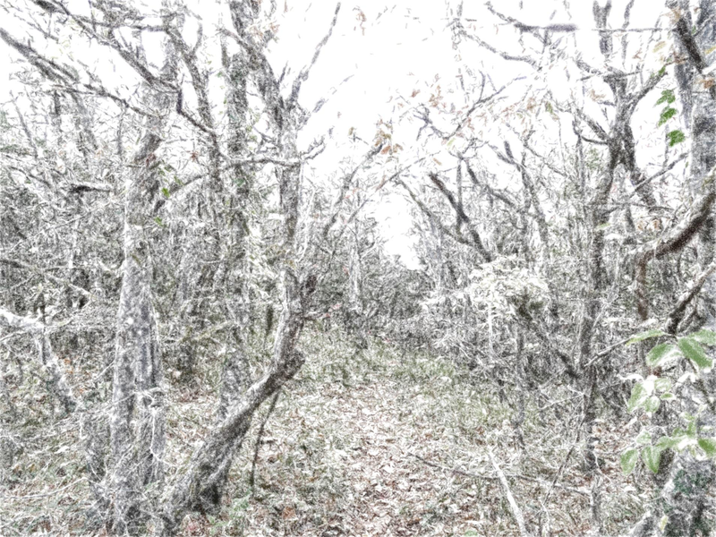 Файл:Page 084.png