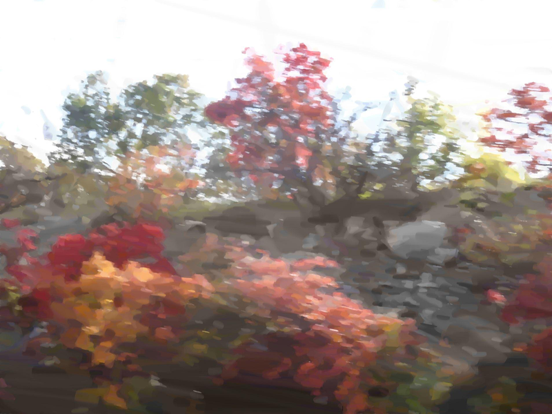 Файл:Page 301.png