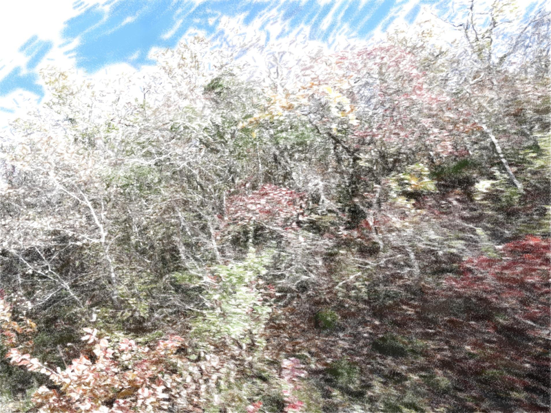 Файл:Page 164.png