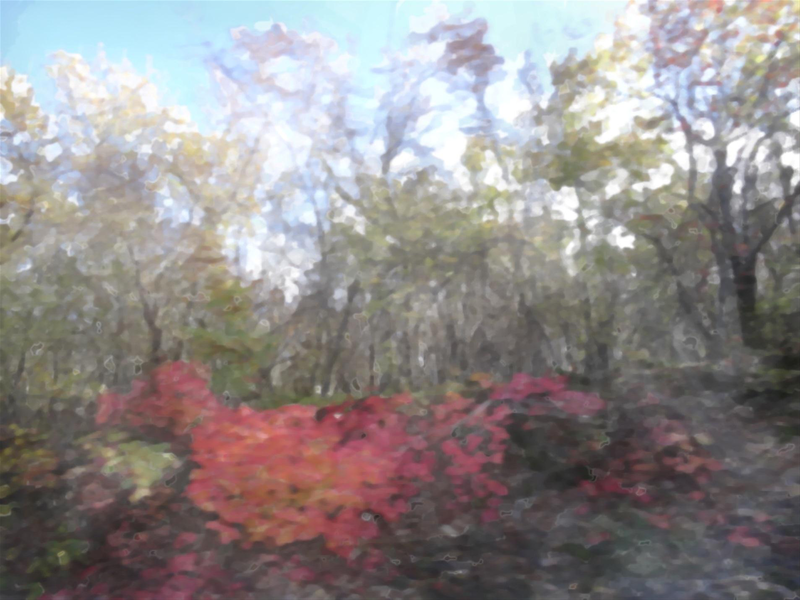 Файл:Page 200.png