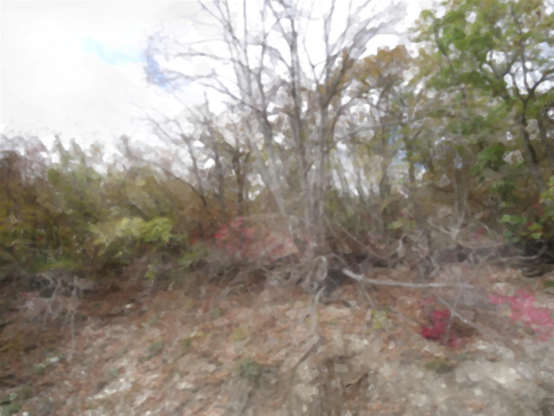 Файл:Page 233.png