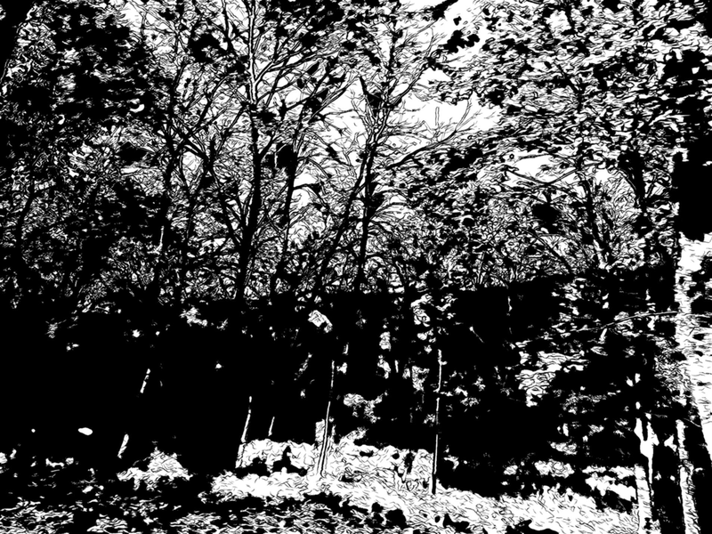 Файл:Page 059.png