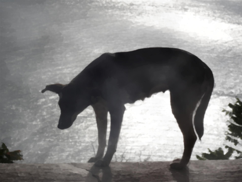 Файл:Page 242.png