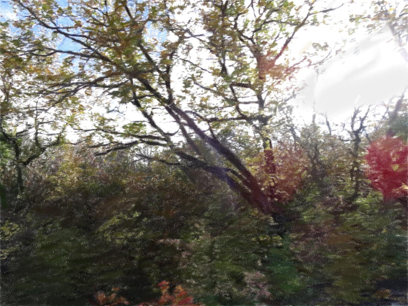 Файл:Page 173.png