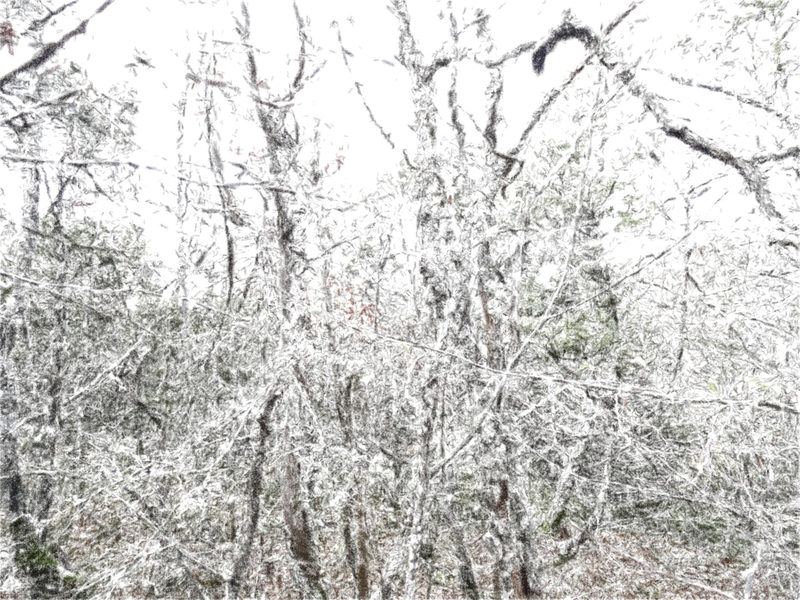 Файл:Page 088.png