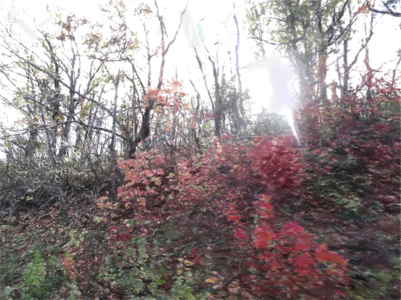 Файл:Page 167.png